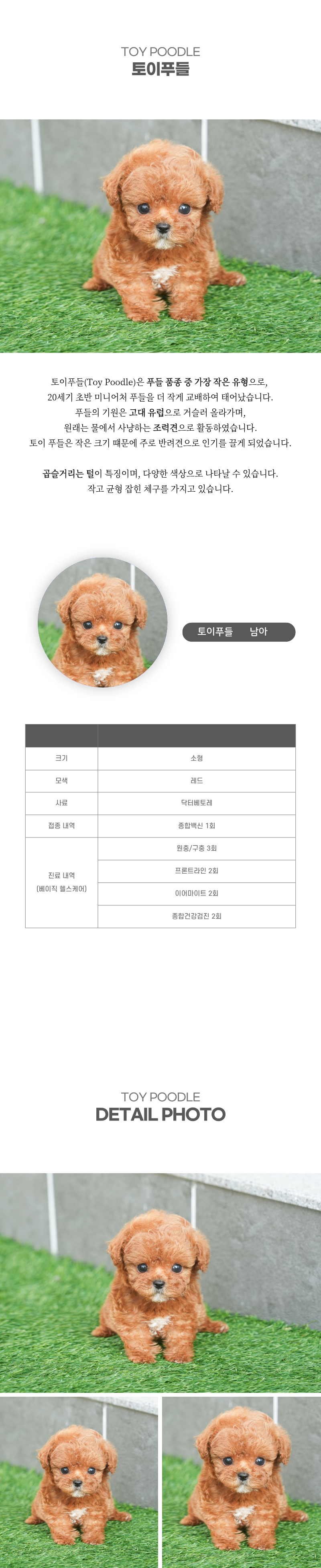 토이푸들_상세이미지_2